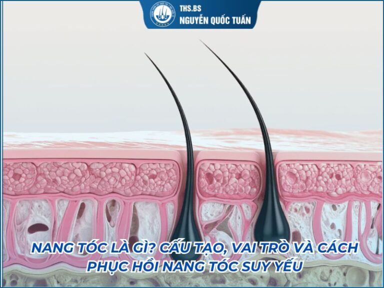 nang tóc là gì