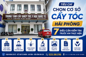 caays toc hai phong