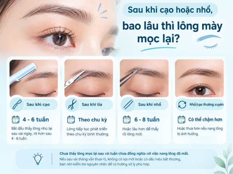  Sau khi cạo hoặc nhổ, bao lâu thì lông mày mọc lại 