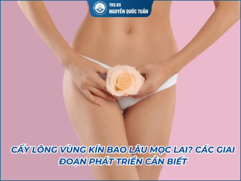 cấy lông vùng kín bao lâu mọc lại