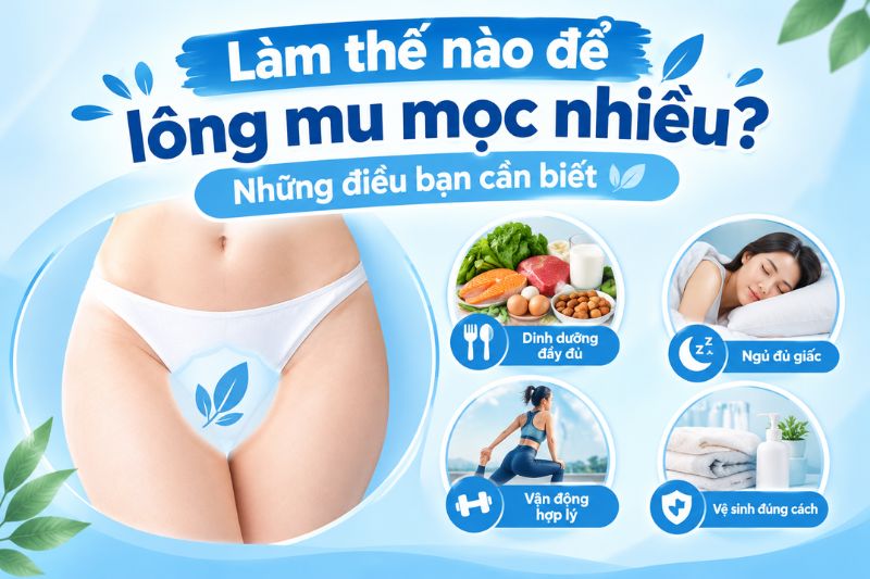 làm thế nào để lông mu mọc nhiều