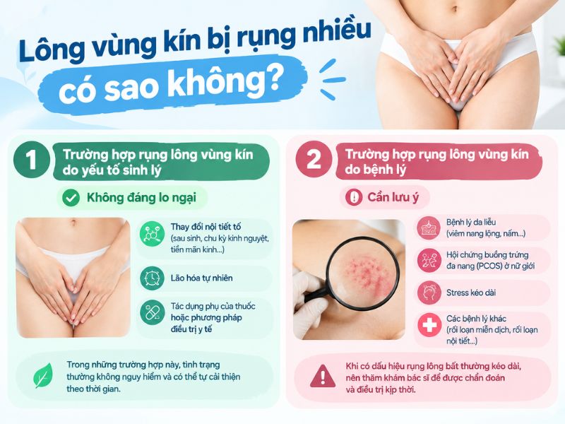 Lông vùng kín bị rụng nhiều có sao không 