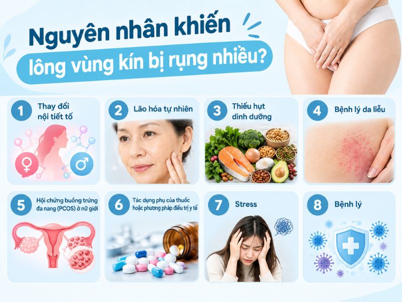 Nguyên nhân khiến lông vùng kín bị rụng nhiều 