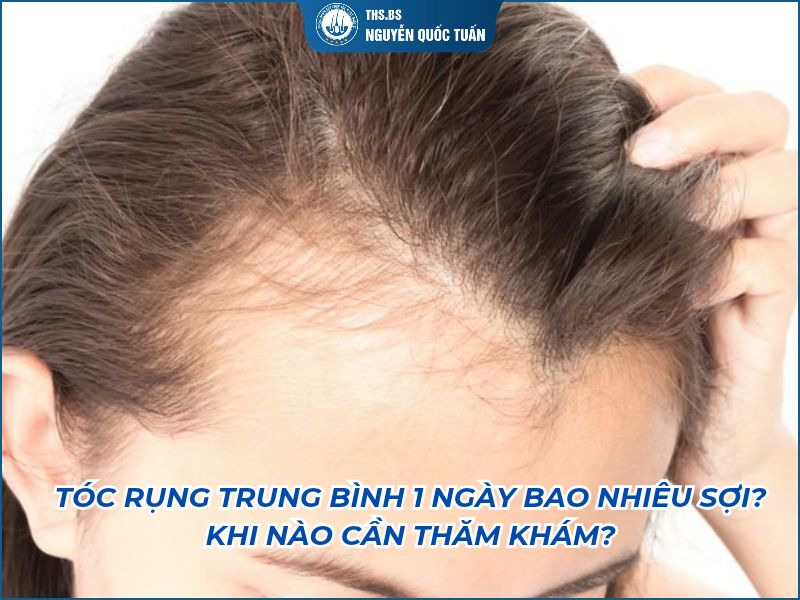 tóc rụng trung bình 1 ngày bao nhiêu sợi