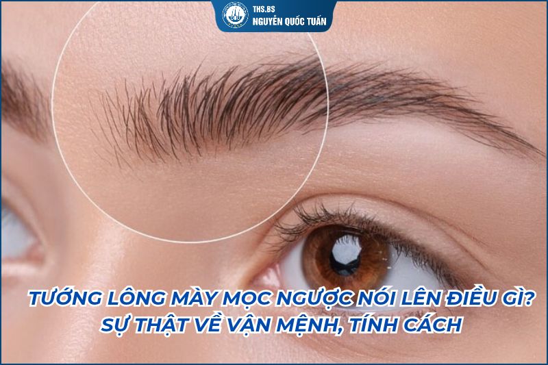 tướng lông mày mọc ngược nối lên điều gì
