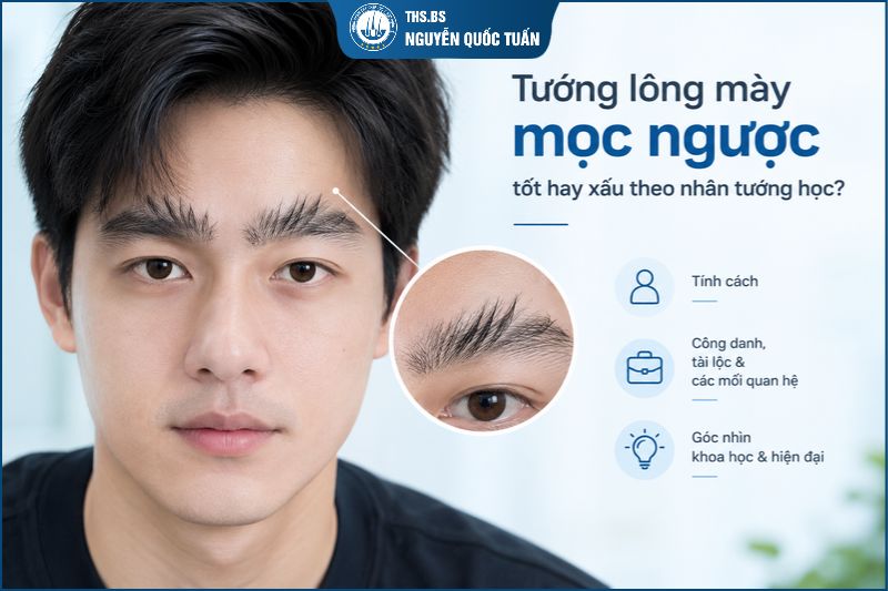 Tướng lông mày mọc ngược tốt hay xấu theo nhân tướng học